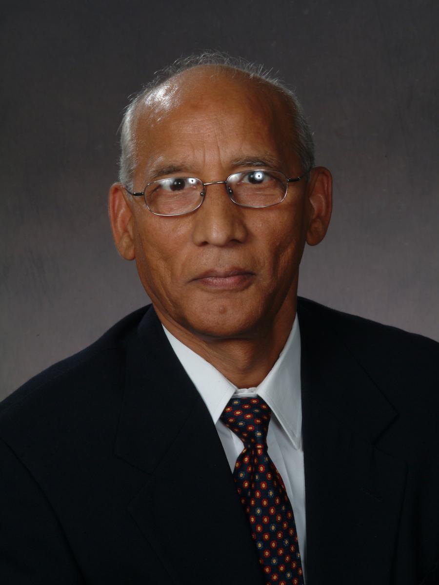Professor Vijay P. Singh