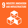 SDG 11